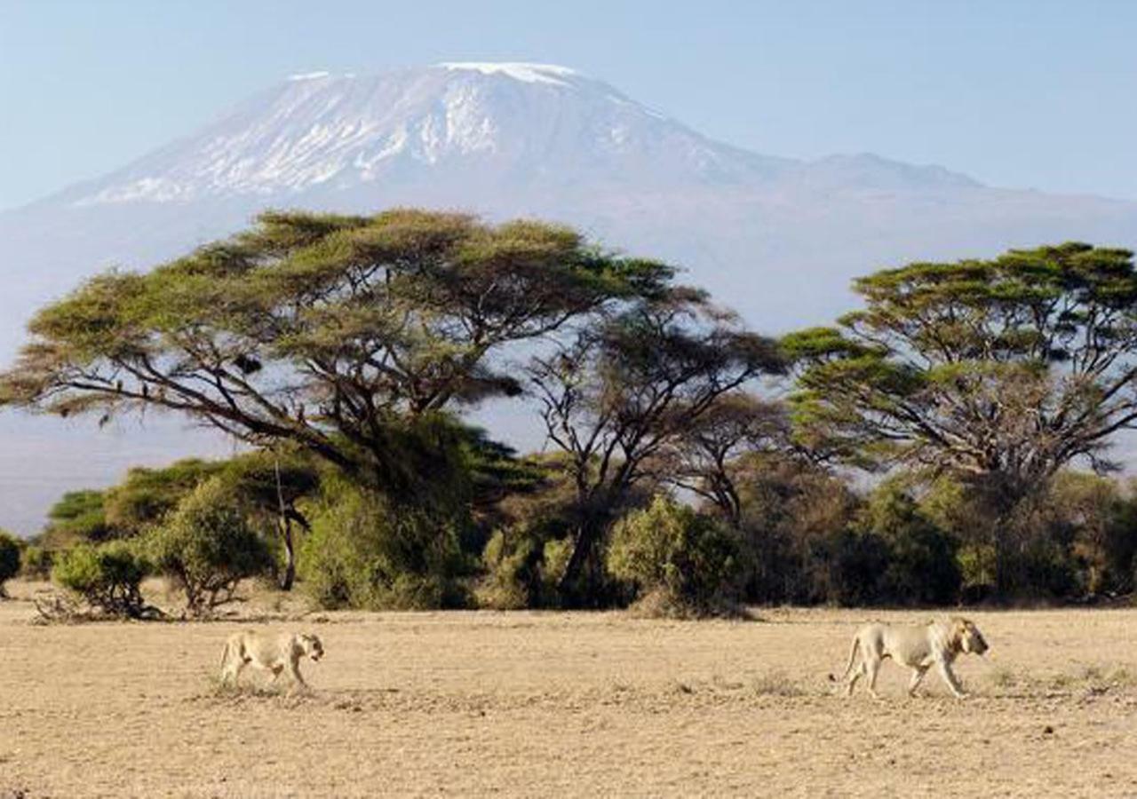 Aa Lodge Amboseli Eksteriør bilde