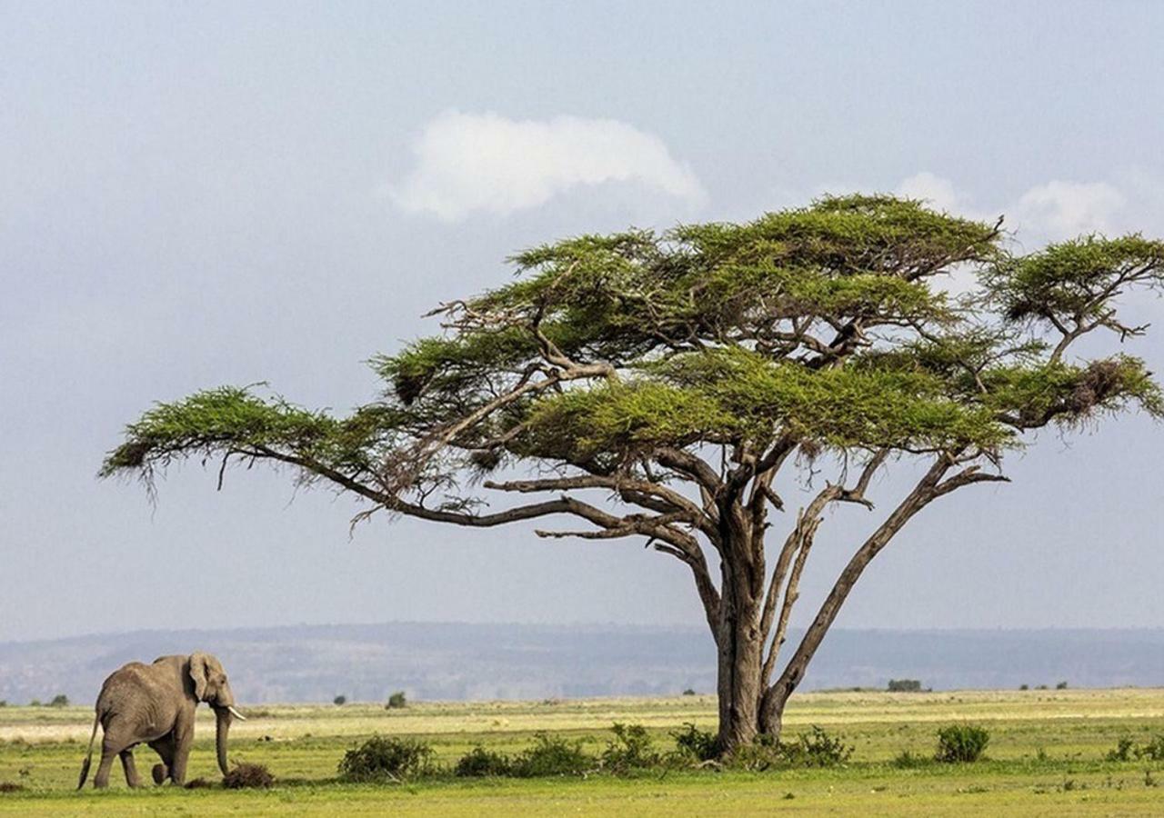 Aa Lodge Amboseli Eksteriør bilde